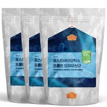 비옴 포스트바이오틱스 프롤린 모유유산균 300g x 3개