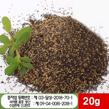 쇠비름씨앗 20g 1봉 - 국산 약초씨 쇠비름종자, 1개
