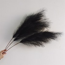 대형 화분 39 인치 팜파스 잔디 크고 풍성한 꽃다발 웨딩 파티 홈 인테리어 식물 큰 100cm 리드 보헤미안, 02 2-black_01 1-pcs