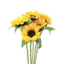 저스트스템 해바라기 생화 도매꽃 꽃시장