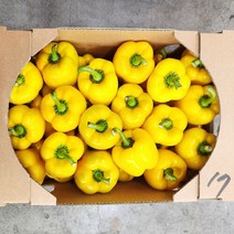 못난이 노랑 파프리카 3kg