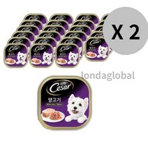 시저 반려견 주식캔 양고기 100g 24캔 x 2세트