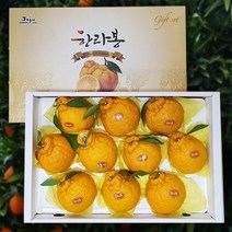 [프레쉬플러스] 제주 한라봉 선물용 대과, 5kg(11~15과)