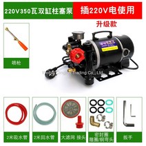 WARM고양 워터펌프 양수기 물펌프 농업용 휴대용 이동식 펌프기, 220V350W 플런저+스프레이 건