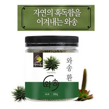 국내산 와송환 250g 바위솔 와송, 와송환250g