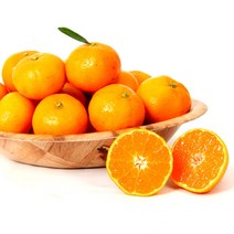 [올레돌밭농원] 23년 제주직송 햇 하우스감귤 1.5kg 2.5kg 4.5kg 가정용, 1.5kg (중대과), 1개