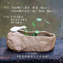 물구멍 없는 화분 수경 재배 용기 세라믹 새 돌 정원 장식, 밑구멍 없는[오리털 롱]