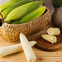 예찬 [정선농협] 삶아서 급냉한 미백 찰옥수수 20개/17cm내외, 1