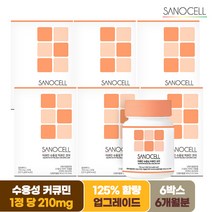 사노셀 수용성 커큐민 코어 6박스(6개월분) 강황 추출물 가루, 단품, 단품