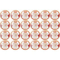 펠리코 독 치킨순살과비프캔95g(24개입)유통기한23년12월, 단품, 95g