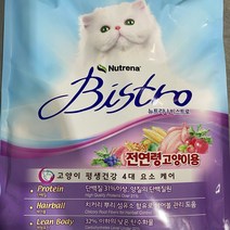 뉴트리나 비스트로 고양이 사료 6kg 300gx20봉 @999EA, 본상품선택