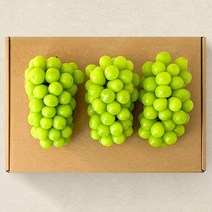 영동 프리미엄 샤인머스켓 설 선물세트 2kg 특등급 고당도 샤인머스캣, 프리미엄 샤인머스캣 3수 2kg 선물세트, 1박스