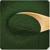 [더위치]클로렐라분말 믹스 1kg