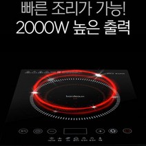 보르도 핫플레이트 인덕션 1구 고화력 전기레인지 휴대용 전기렌지 하이브리드