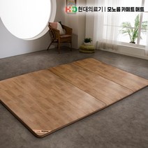 모노륨 카페트 전기매트 점보