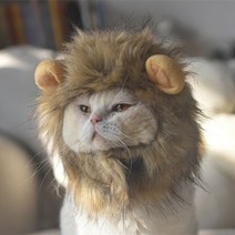 고양이 할로윈 개 lion costume for dog cat lion costume pet costume 맞춤형 lion wig for cat pet wig, 사자 주둥이 38cm