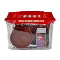 벅스프린스 소라게 사육세트 초급자 레드