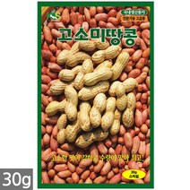 백작두콩 씨앗 10립 - 작두콩 작두콩씨앗 작두콩씨 콩씨앗 콩씨 씨 주말농장 텃밭, 01_고소미땅콩(30g)