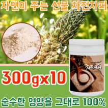 인도산 자연 그대로 원물 질경이 씨앗 추출물 차전자피 처잔자피 100% 깨끗하고 안전한 식이섬유 가루 파우더 분말 물에 타 먹는 주부 남편 여성 여자 성인 병 타입 파는곳 추천, 10