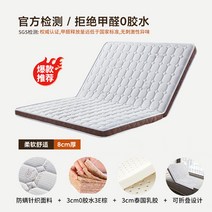 B야자섬유 3cm패드+라텍스 3cm패드 2단 접이식 매트리스 단단한 갈색 하드 매트, B. type 2_단일상품