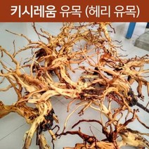 키시레움 유목 (헤리 유목) L 사이즈 [45~60cm] 어항 수족관 수조 유목 레이아웃 나무