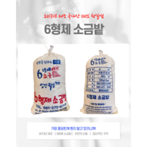 10년된 간수빠진 100%천일염 6형제 소금밭 10KG (2013년산 KBS 방영 ), 1개