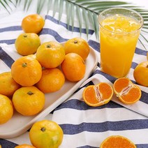 새콤달콤 돌담 가정용 하우스감귤 1.5kg 프리미엄과 18-24과(S), 단품