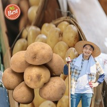 산지직송 강원도감자 강원도 두백감자 5kg 분감자 상 왕특 혼합 사이즈 햇감자 5키로 카스테라감자 포슬포슬감자 한박스 분질감자 쪄먹는 분나는 감자 홍천, 1개