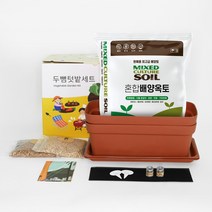 두뼘텃밭세트 고기쌈 텃밭 브라운 상추 깻잎키우기