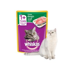 위스카스 고양이 주식 파우치 참치, 80g, 24개