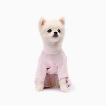 앨리스디 강아지옷 핑크 점프슈트 114009-1 와이준