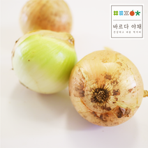 바르다야채 국내산 양파 3kg 5kg 10kg (요리용-중 왕사이즈), 중-10kg