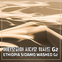 (커피생두) 18 에티오피아 시다모 워시드 G2 500g