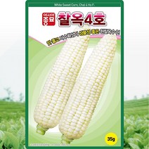 솔림텃밭몰 흰찰옥수수씨앗 35g 옥수수씨앗 찰옥4호 약100립, 찰옥4호중포장(700g)
