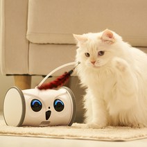 (충전기 포함) 강아지 고양이 자동으로 움직이는 로봇 장난감 노즈워크 트위스트 다람쥐 삑삑이 인형포함 / 하늘 다람쥐 캣닢포함, 01.트위스트 다람쥐 (강아지 전용) + 충전기