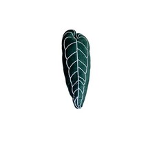 인테리어 조각상 오브제 nordic ins plant white brocade monstera 침대 옆 소파 허리 베개 베개 쿠션 귀걸이 냉장고 자석 홈 가구, 70x22