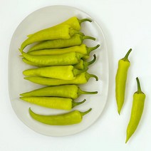 당조고추 2kg 혈당 낮추는 채소 당조절 기능성