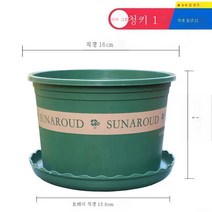ZZJJC 화분 대전다육플라스틱 특대호 월계다육분재 화분수지갤런 화분, 왜소1호[구경16cm]5개입, 화분 받침대 없음(비료 보내기)
