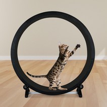캣휠 무소음 캣휠 고양이 캣폴 애완 동물 러닝 휠 그랩 크롤링 선반 휠 운동, free