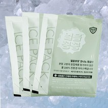 항균 친환경 아이스팩 은나노 얼음팩 얼음주머니 15개, 1개, 1개