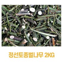 정선 약초 토종벌나무 2kg 청정지역 자연주의 프리미엄 국내산 100% 최상급 최승영벌나무 활력 숙취후 인증