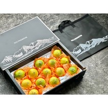 [빛나는 제주] 황금향 제철 고당도 하우스 특대과 추석 명절 선물세트 3kg 5kg, 황금향추석선물세트3kg+황금향추석선물세트3kg