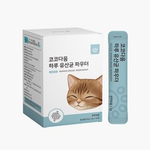 코코다움 하루 유산균 파우더 고양이 설사 변비 장건강 영양, 1박스