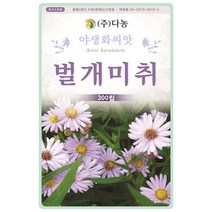 쑥부쟁이 1.5g - 야생화 씨앗 꽃씨 씨 꽃씨앗 쑥부쟁이씨앗 쑥부쟁이씨 다년생 여러해살이 야생화씨앗 꽃 권영초 왜쑥부쟁이 가새쑥부쟁이, 23_다농_벌개미취(300립)