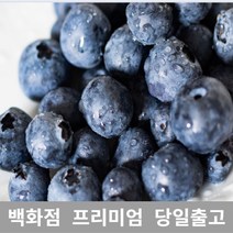 (특등급) 오늘출고 생블루베리1KG 블루베리 요즘과일, 어스타임쿠팡 1KG, 어스타임쿠팡 본상품선택
