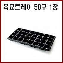 [모종트레이] - 고추 배추 상추 마늘 양파 모종 모두싹 트레이, 50구