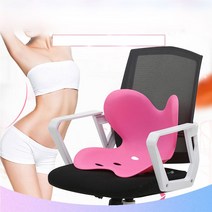 굽은등 딱딱한 W747CD4P 쿠션 에스라인 허리지지 S라인 하드 바른자세 나비 일자목 보조의자 자세보정쿠션, 나비 하드 쿠션-블랙