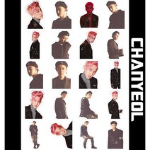 EXO 아이돌 포토카드 굿즈 여행스티커 세트 빈티지 다꾸 다이어리 노트북 캐리어꾸미기, 박찬열