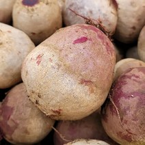 제주도 산지발송 즙용 레드비트 5kg, 1개