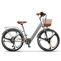Montheria 전기자전거 36V 전동자전거 24/26인치 B918-127, 10AH-25KM, 26인치 그레이